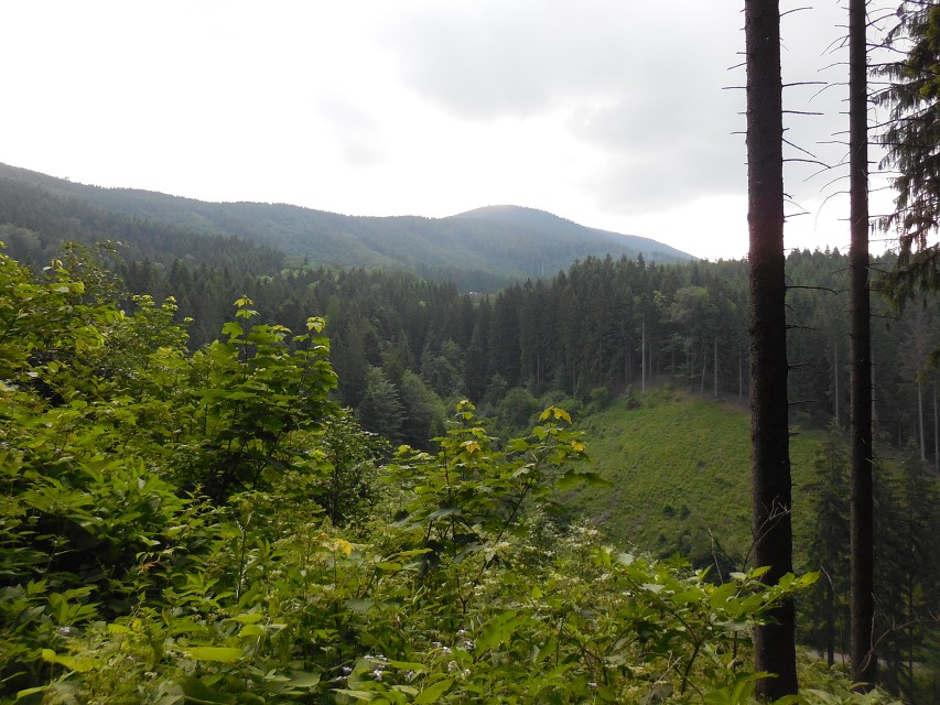 img00004.jpg