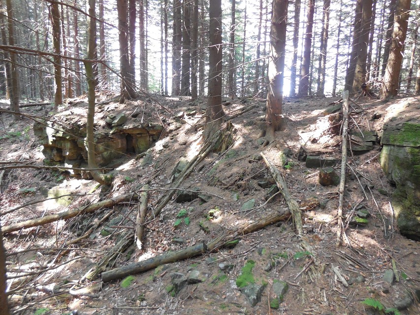 img00011.jpg