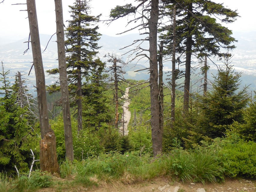 img00016.jpg