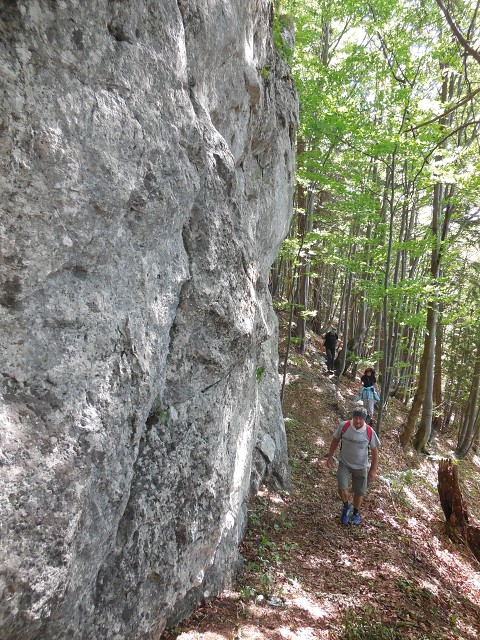 img00013.jpg