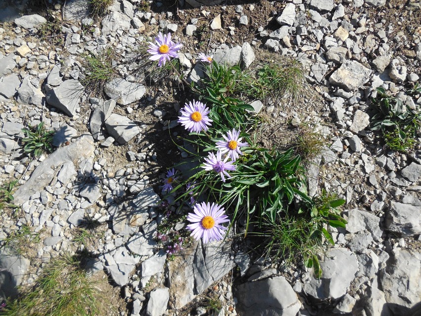 img00022.jpg