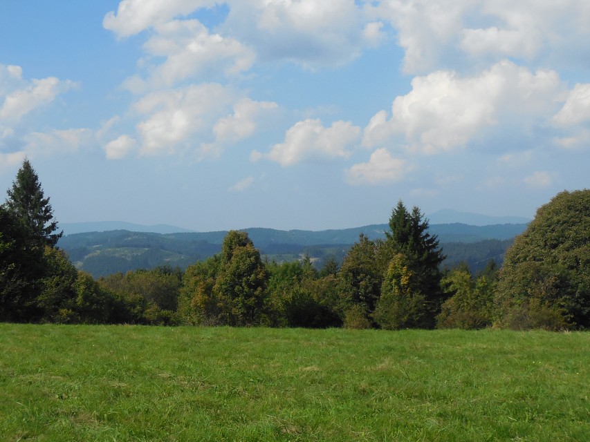 img00039.jpg