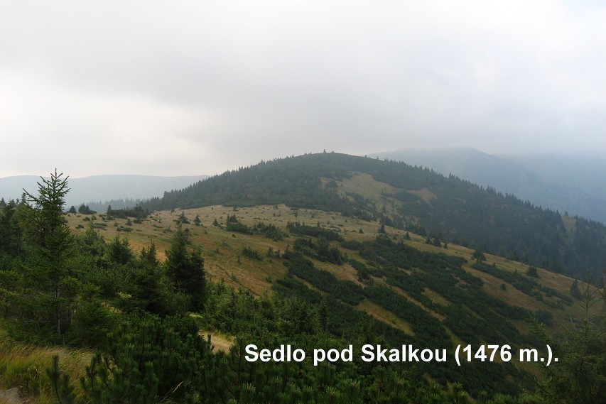 img00014.jpg