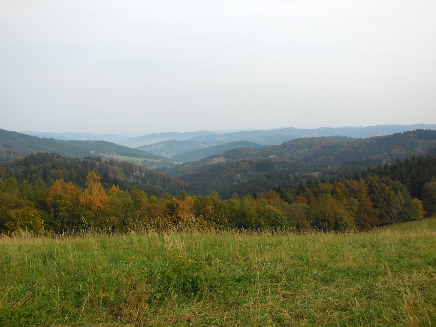 img00010.jpg