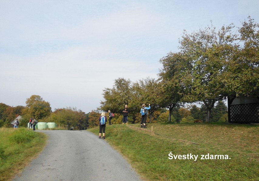 img00013.jpg