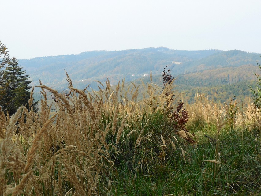 img00018.jpg