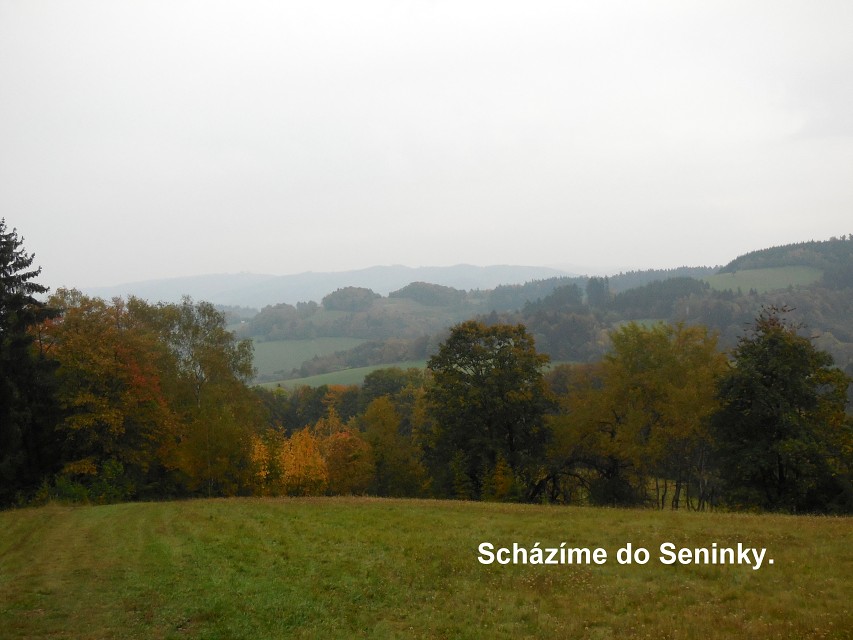 img00041.jpg