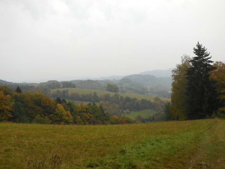 img00042.jpg