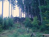 thn00015.jpg