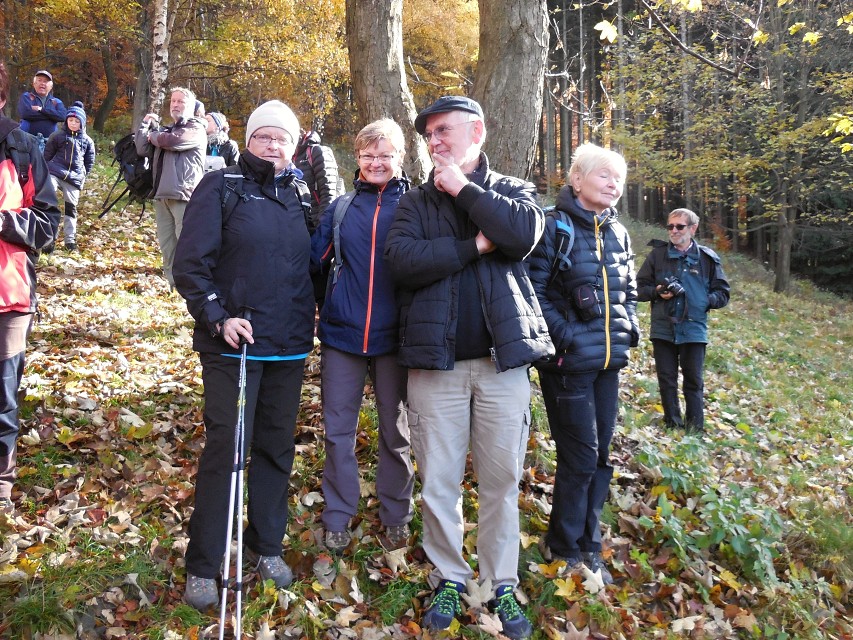 img00013.jpg