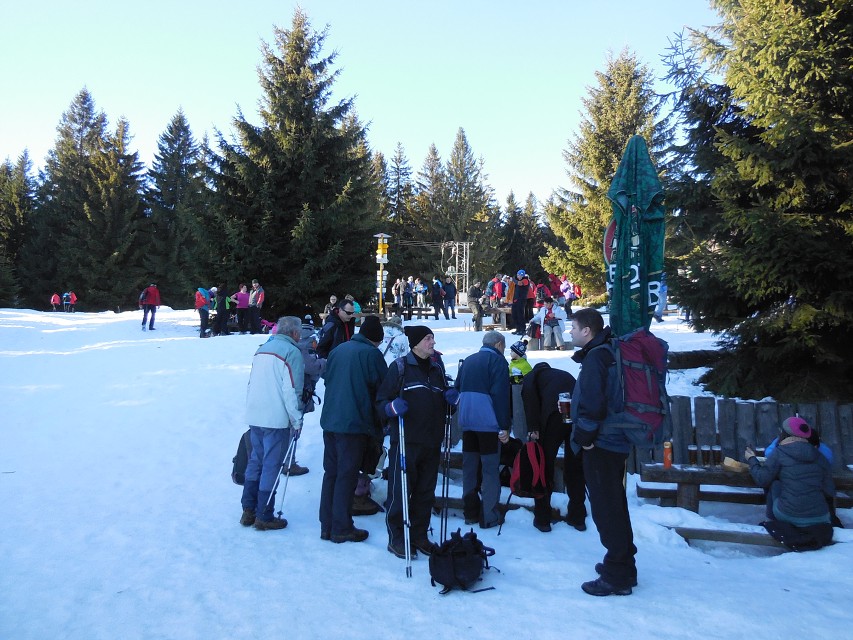 img00007.jpg
