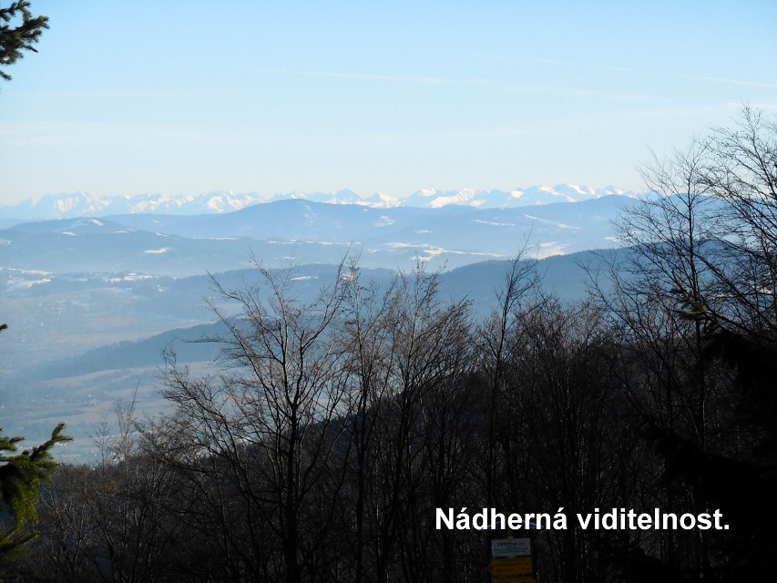 img00015.jpg