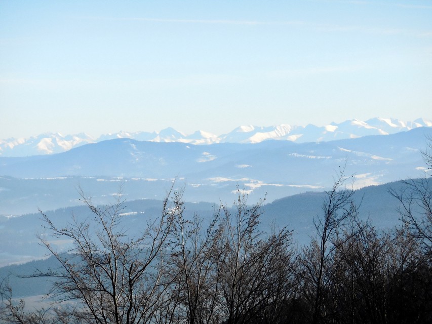img00016.jpg