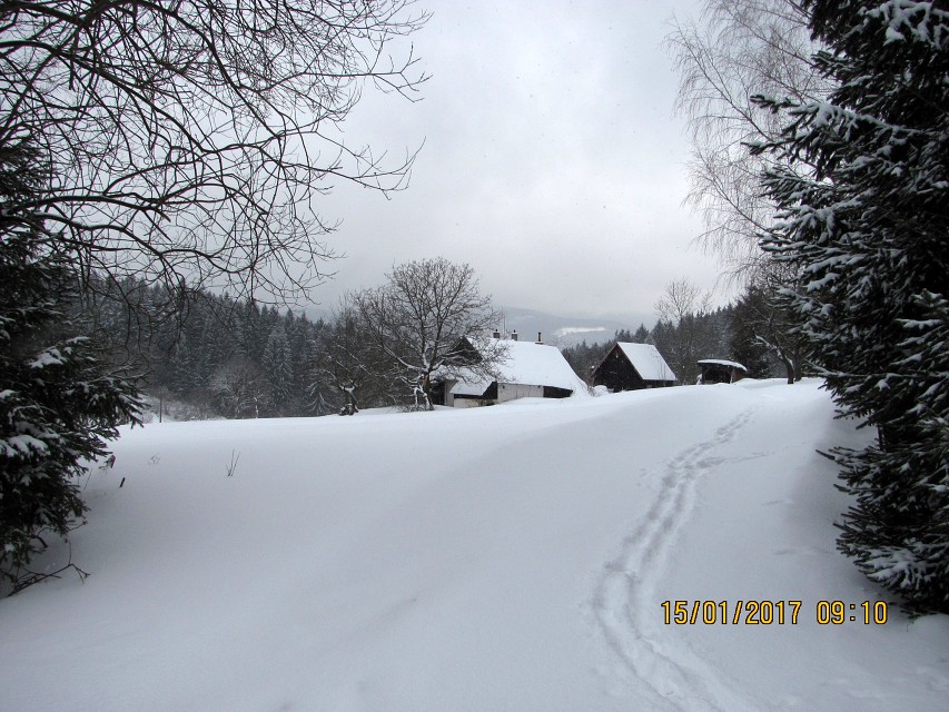 img00004.jpg