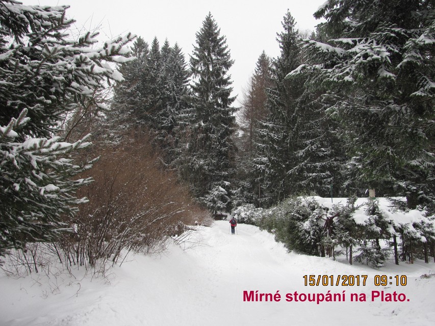 img00005.jpg