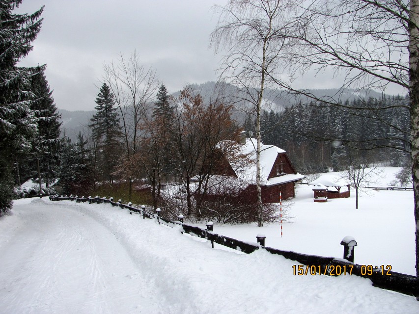 img00006.jpg