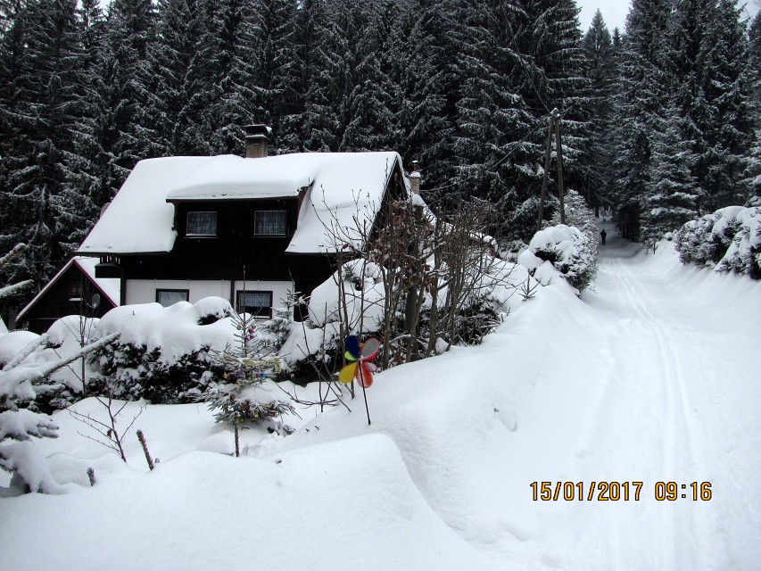 img00008.jpg