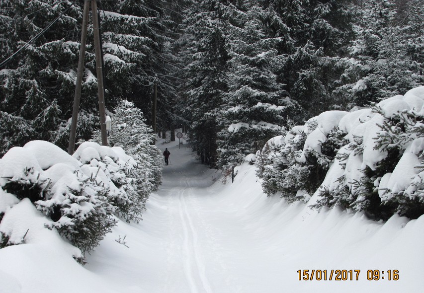 img00009.jpg