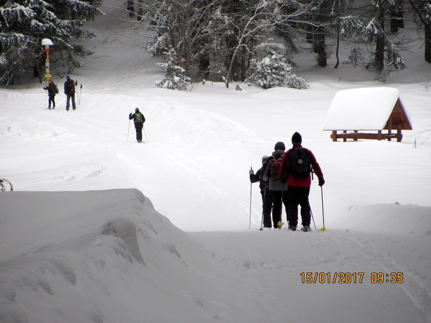 img00010.jpg