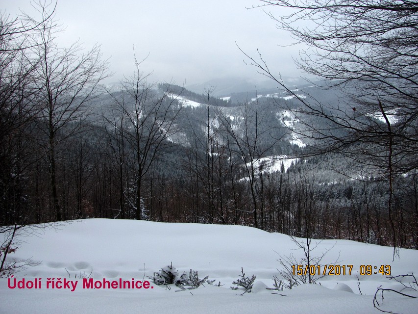 img00013.jpg