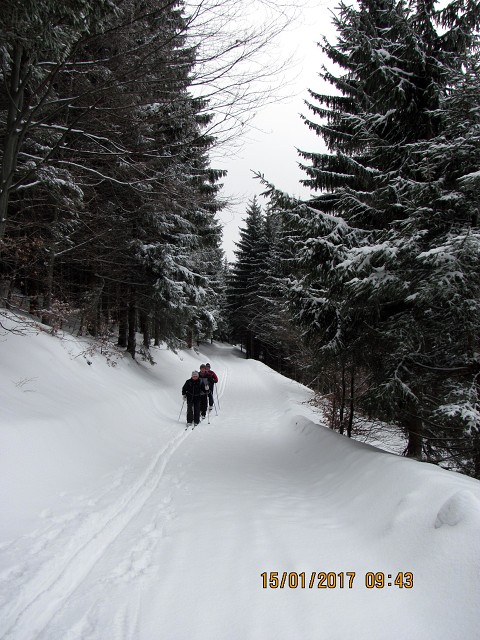 img00014.jpg