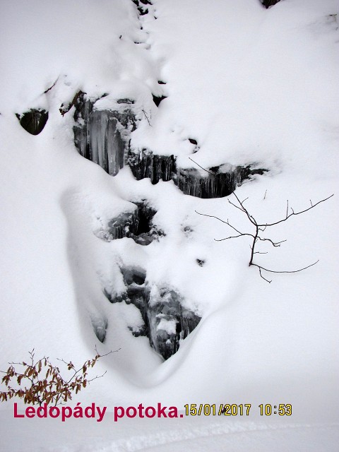img00020.jpg