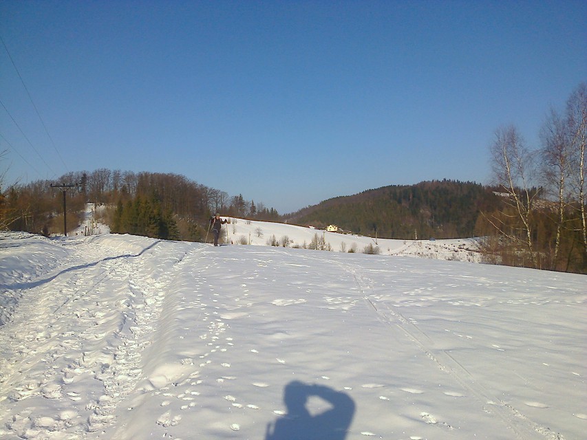 img00004.jpg