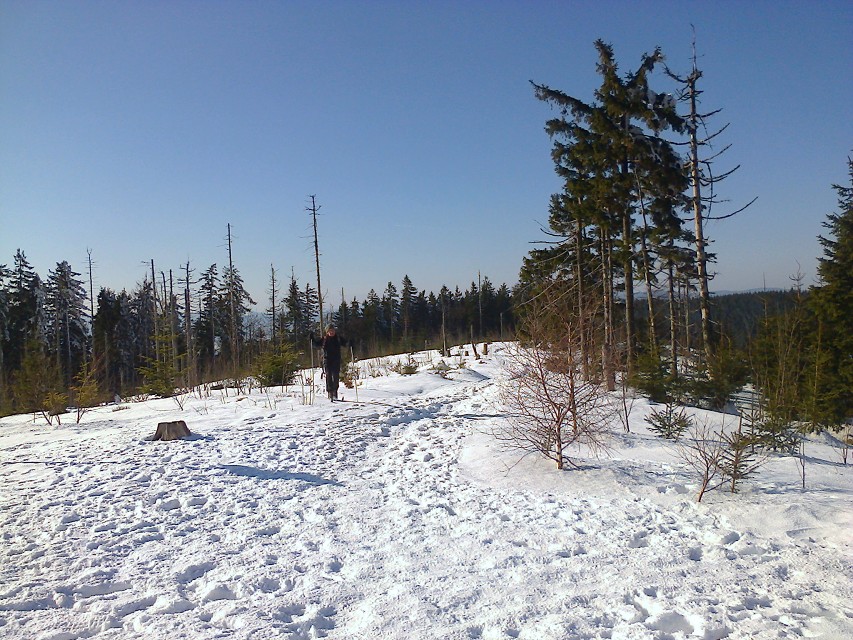 img00005.jpg