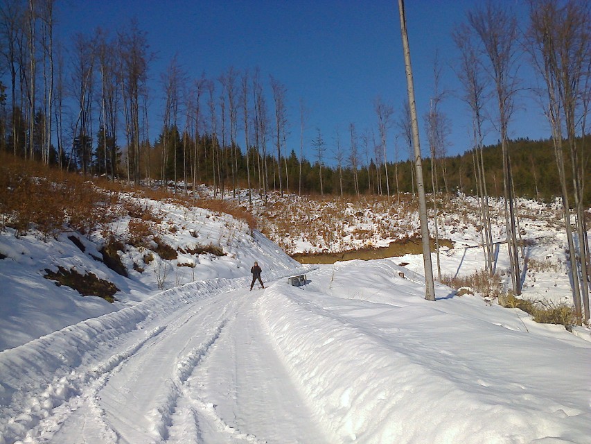img00007.jpg