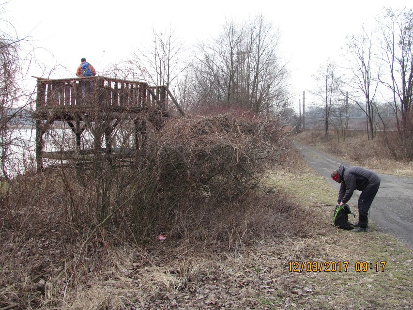 img00003.jpg