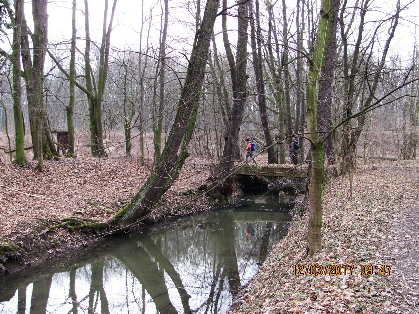 img00011.jpg