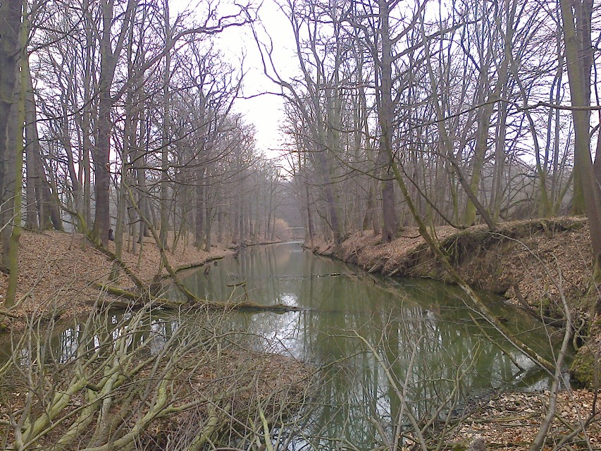 img00012.jpg