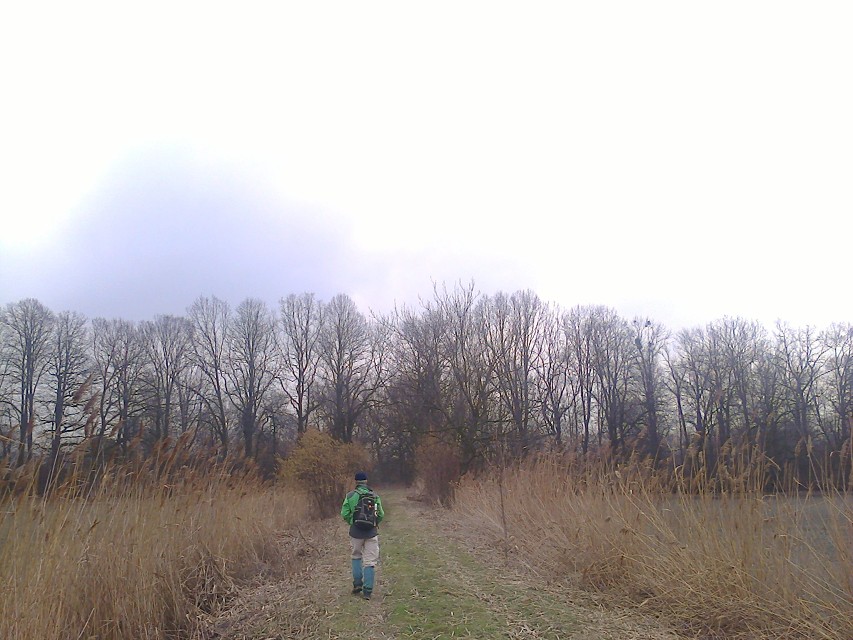 img00020.jpg