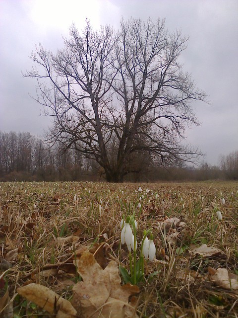 img00021.jpg