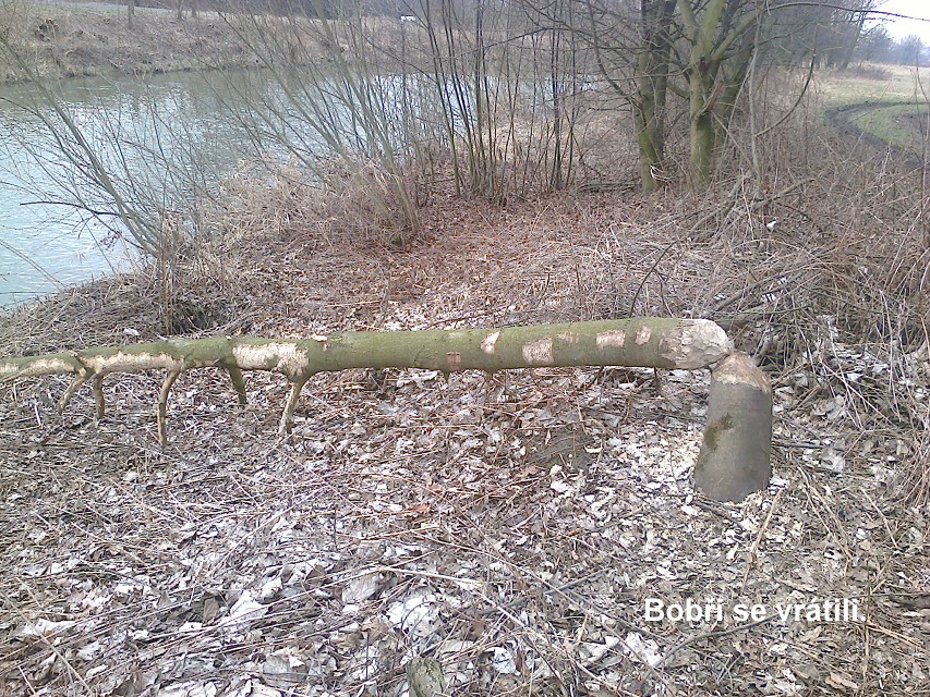 img00025.jpg