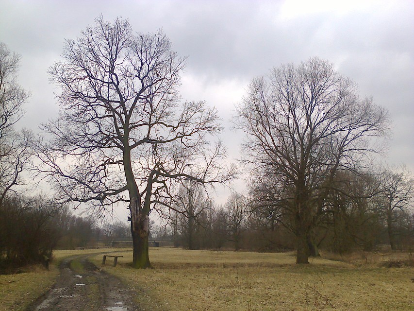 img00026.jpg