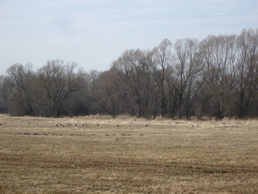 img00028.jpg