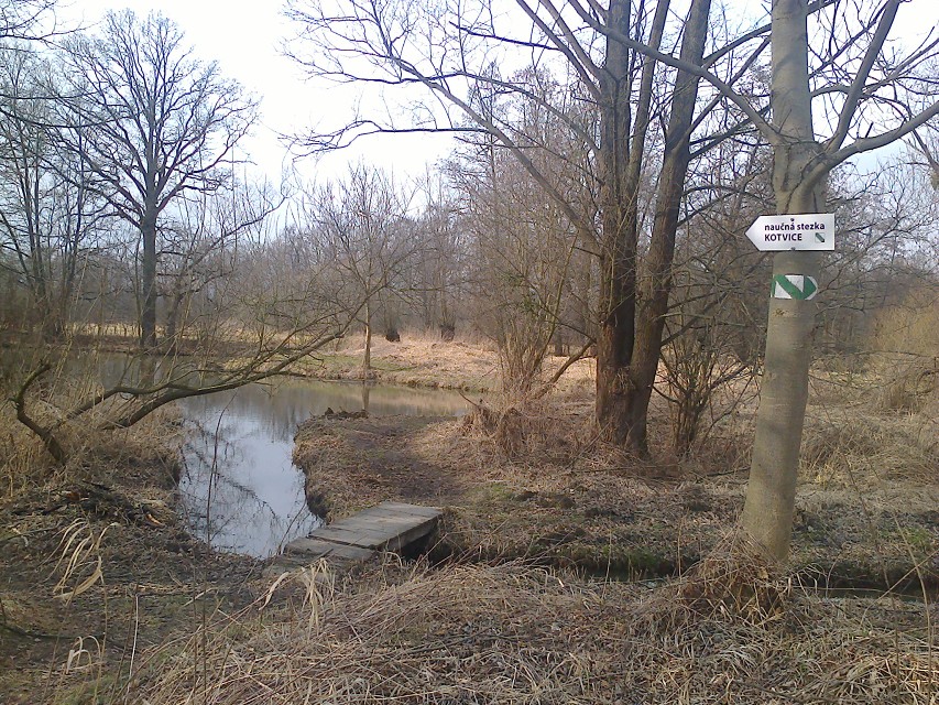img00033.jpg