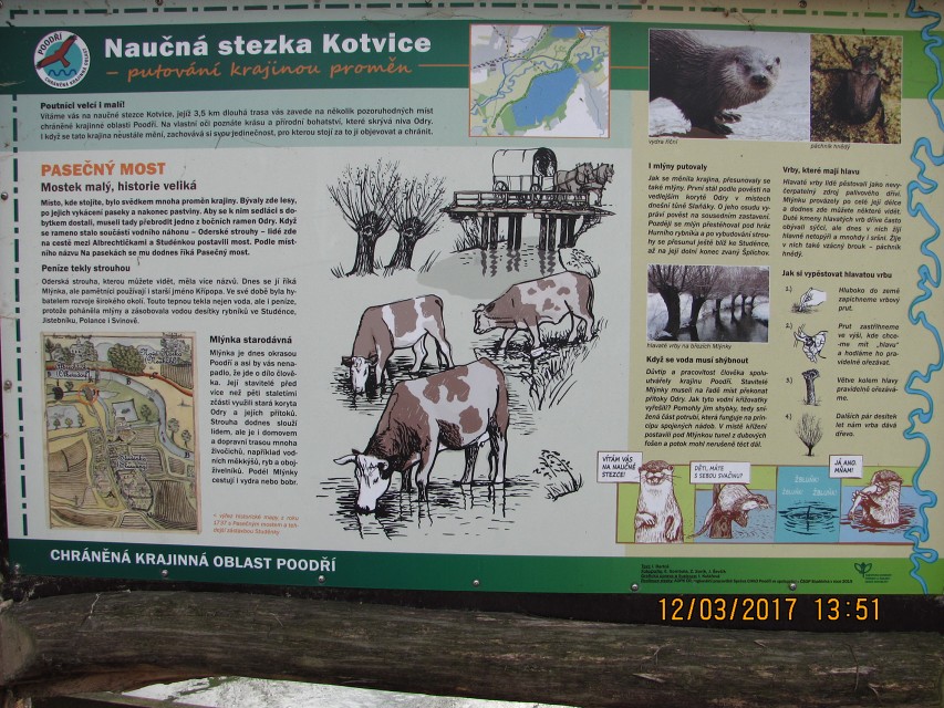 img00034.jpg