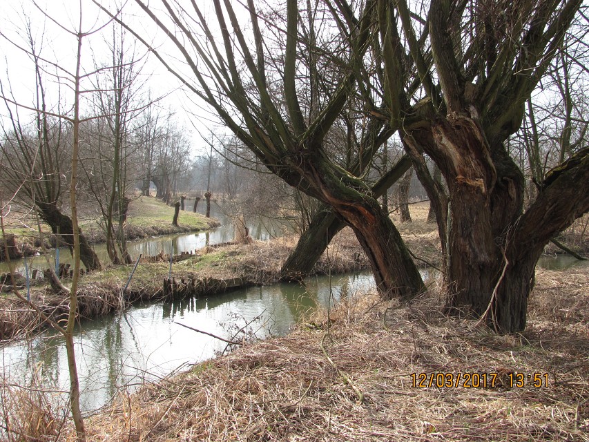 img00035.jpg