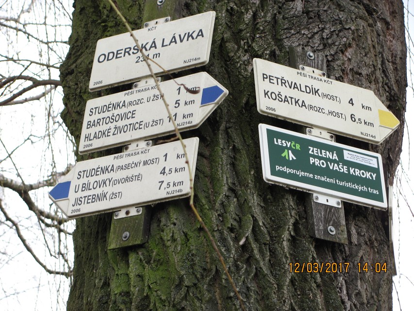 img00038.jpg