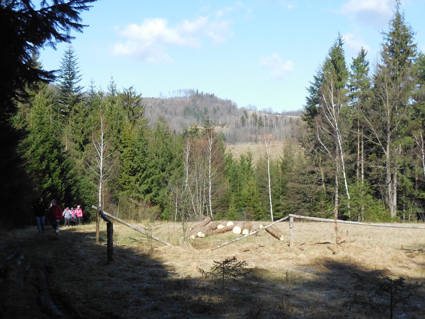 img00004.jpg