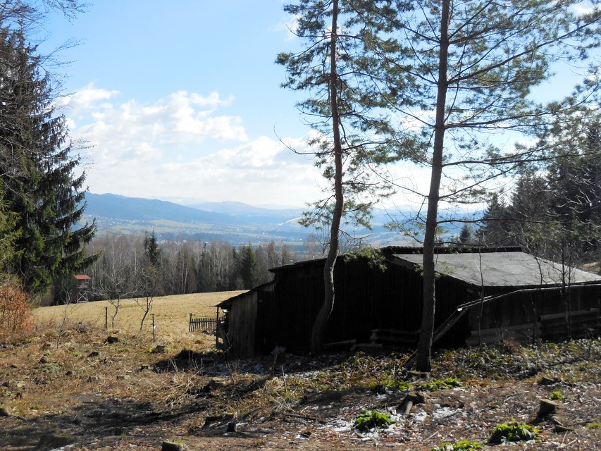 img00005.jpg
