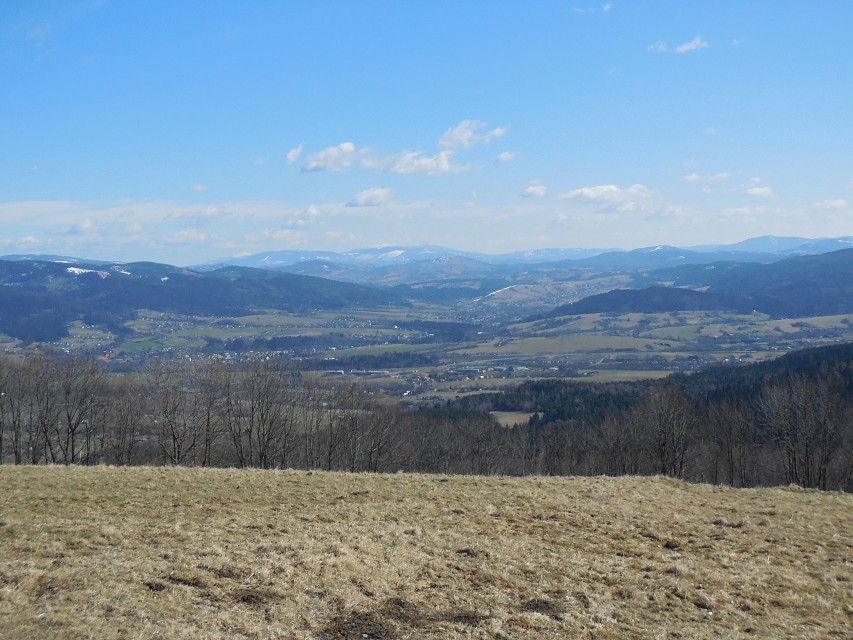 img00015.jpg