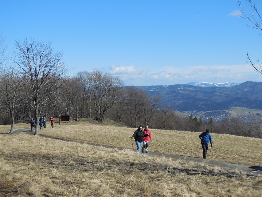 img00016.jpg