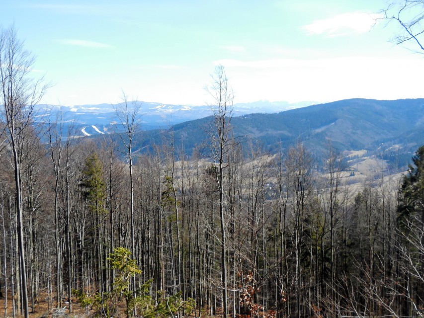 img00023.jpg