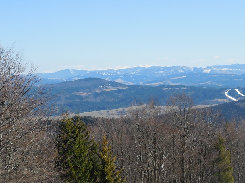 img00024.jpg