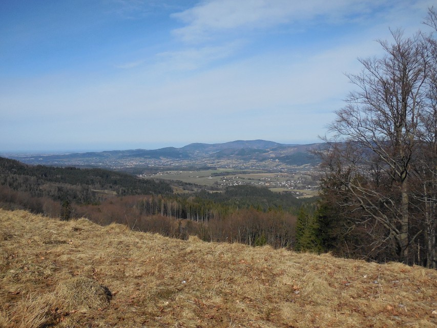 img00031.jpg