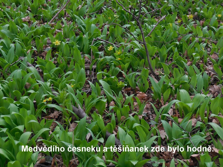 img00004.jpg