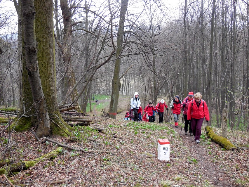 img00015.jpg